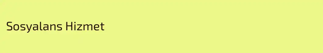 Sosyalans Hizmet